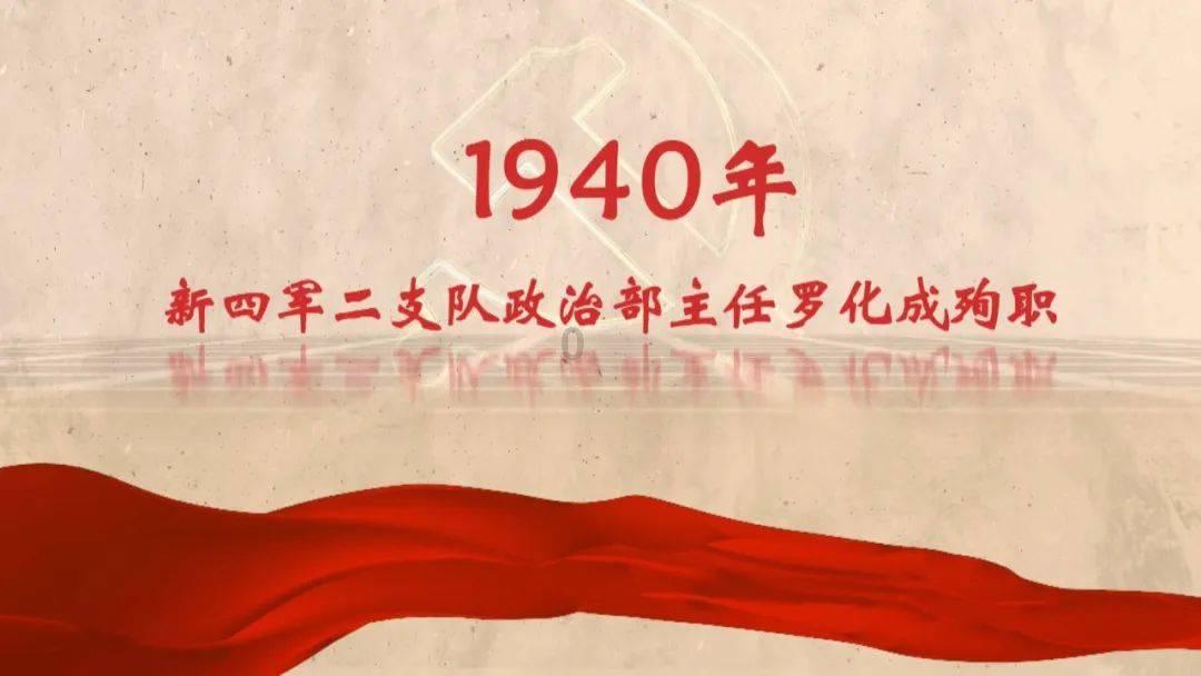 豆娃勇士