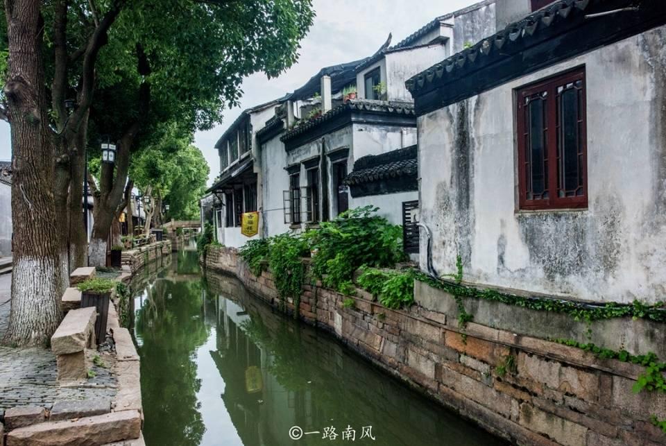 卡通骆驼救援